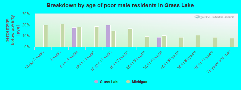 Breakdown by age of poor male residents in Grass Lake