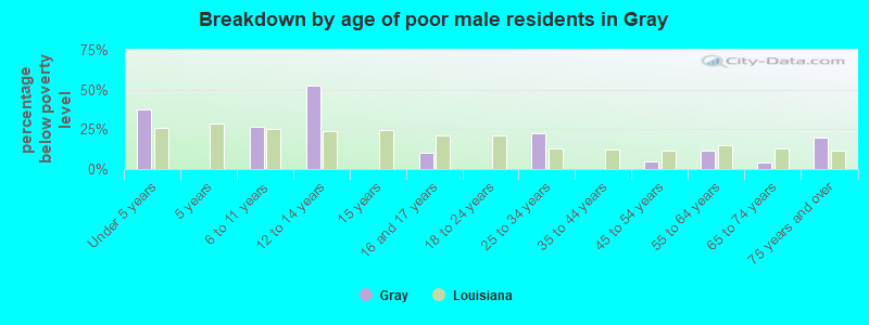 Breakdown by age of poor male residents in Gray