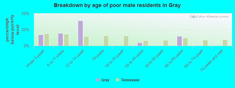 Breakdown by age of poor male residents in Gray