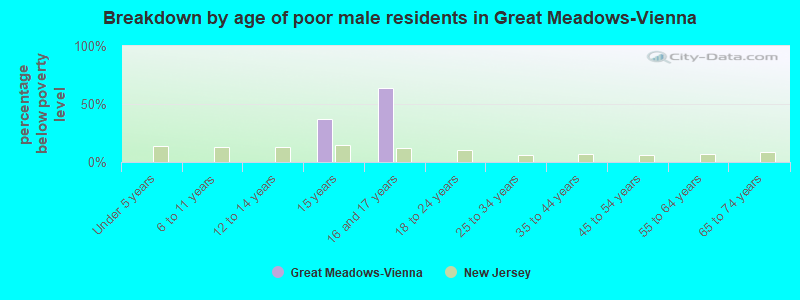 Breakdown by age of poor male residents in Great Meadows-Vienna