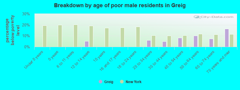 Breakdown by age of poor male residents in Greig