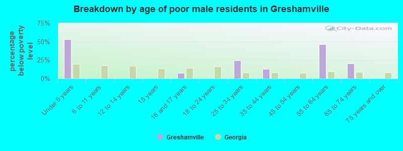 Breakdown by age of poor male residents in Greshamville