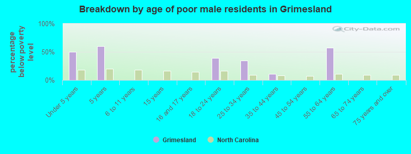 Breakdown by age of poor male residents in Grimesland