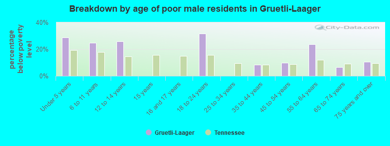 Breakdown by age of poor male residents in Gruetli-Laager