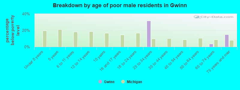 Breakdown by age of poor male residents in Gwinn
