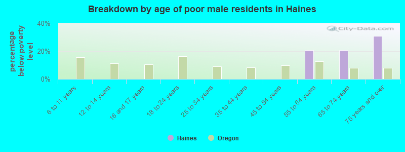 Breakdown by age of poor male residents in Haines