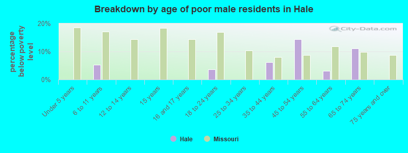 Breakdown by age of poor male residents in Hale