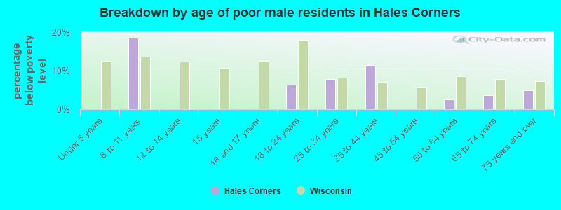 Breakdown by age of poor male residents in Hales Corners