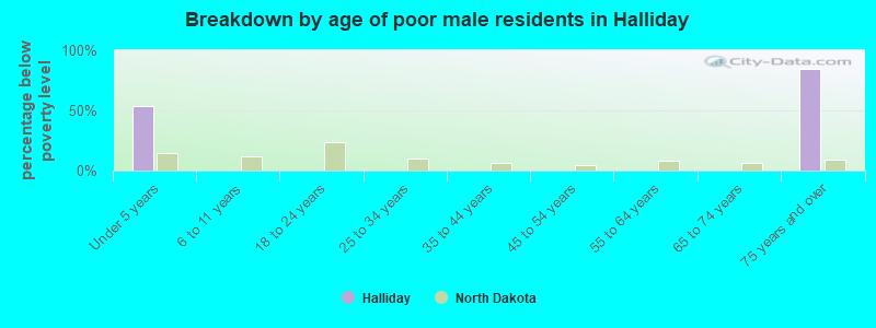 Breakdown by age of poor male residents in Halliday