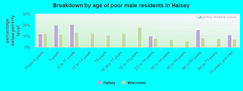Breakdown by age of poor male residents in Halsey