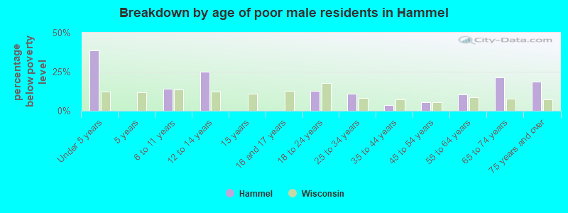 Breakdown by age of poor male residents in Hammel