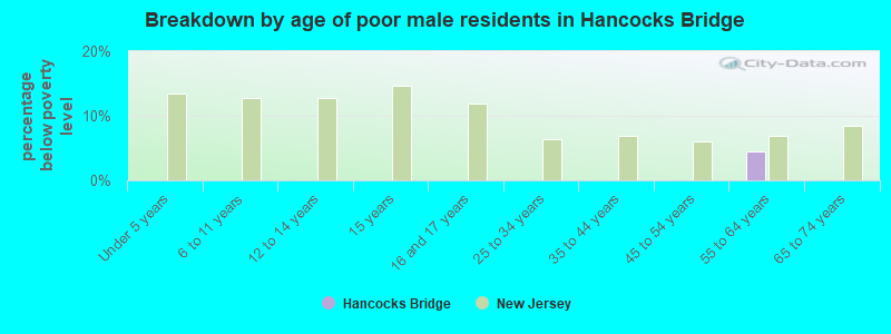 Breakdown by age of poor male residents in Hancocks Bridge