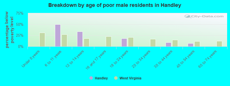 Breakdown by age of poor male residents in Handley