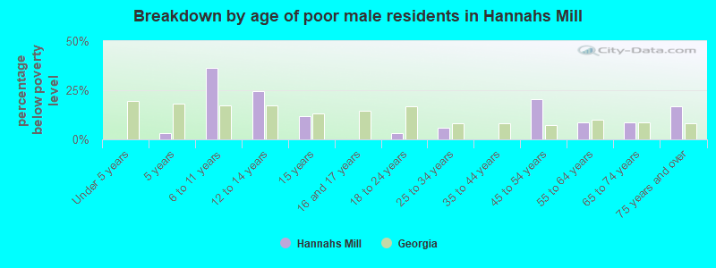 Breakdown by age of poor male residents in Hannahs Mill