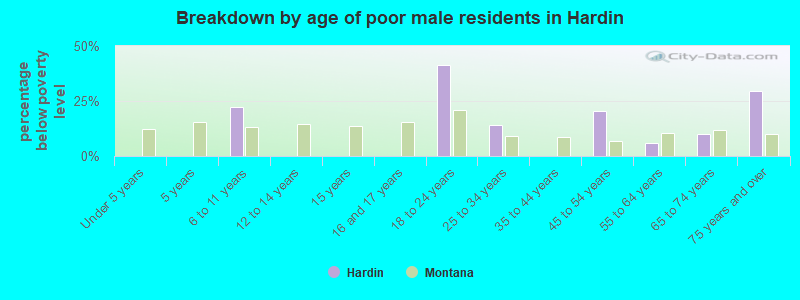 Breakdown by age of poor male residents in Hardin