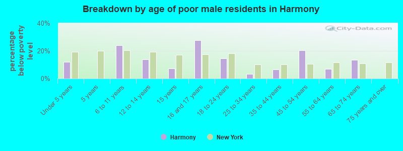 Breakdown by age of poor male residents in Harmony