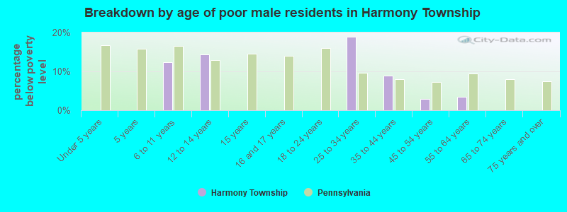 Breakdown by age of poor male residents in Harmony Township