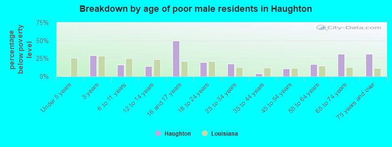 Breakdown by age of poor male residents in Haughton