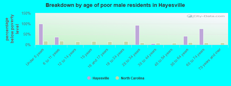 Breakdown by age of poor male residents in Hayesville