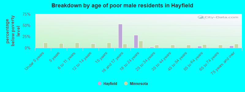 Breakdown by age of poor male residents in Hayfield