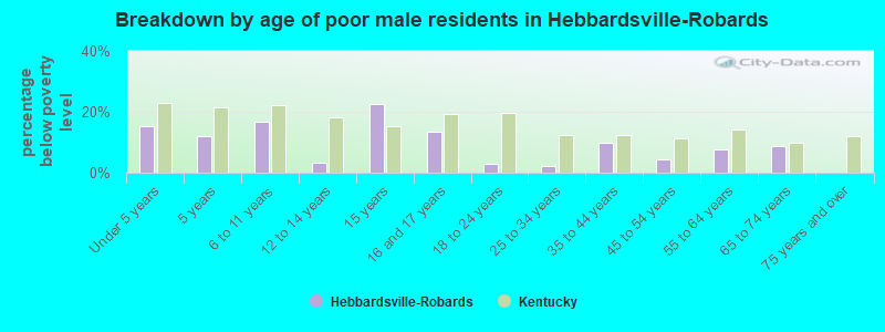 Breakdown by age of poor male residents in Hebbardsville-Robards