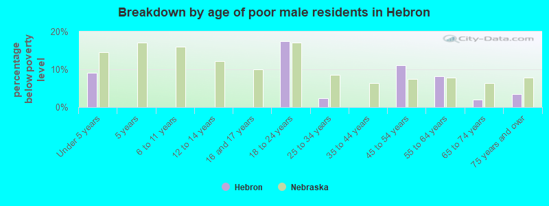 Breakdown by age of poor male residents in Hebron