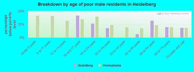 Breakdown by age of poor male residents in Heidelberg