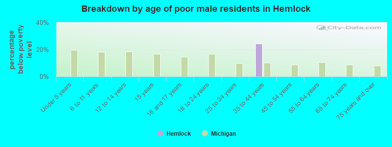 Breakdown by age of poor male residents in Hemlock