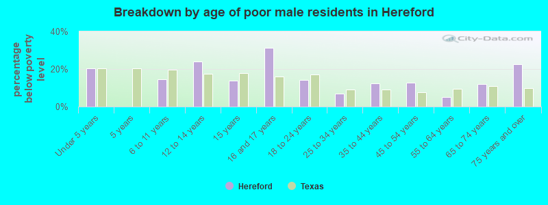 Breakdown by age of poor male residents in Hereford