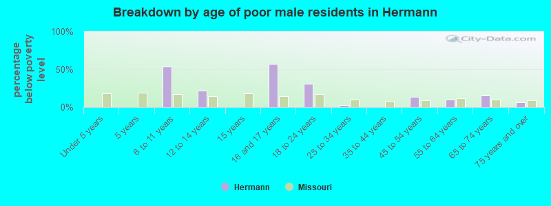Breakdown by age of poor male residents in Hermann