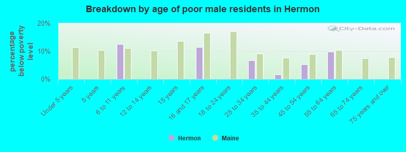 Breakdown by age of poor male residents in Hermon