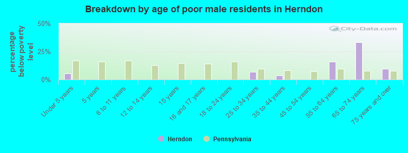 Breakdown by age of poor male residents in Herndon