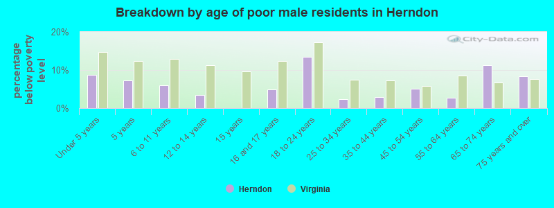 Breakdown by age of poor male residents in Herndon