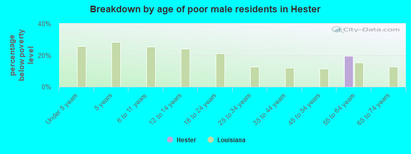 Breakdown by age of poor male residents in Hester