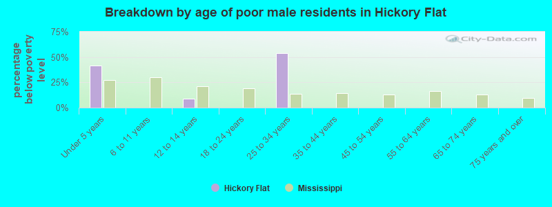 Breakdown by age of poor male residents in Hickory Flat