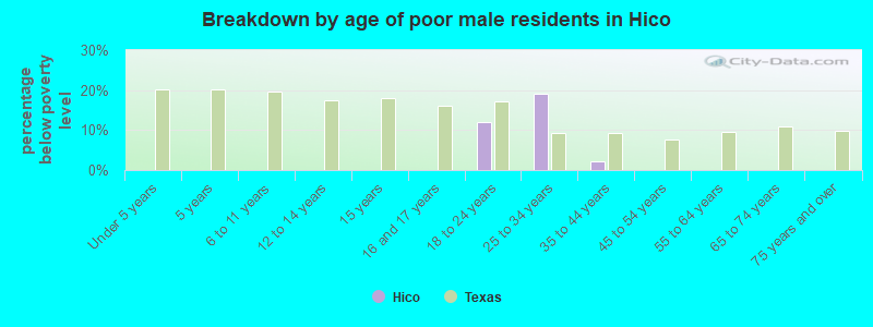 Breakdown by age of poor male residents in Hico