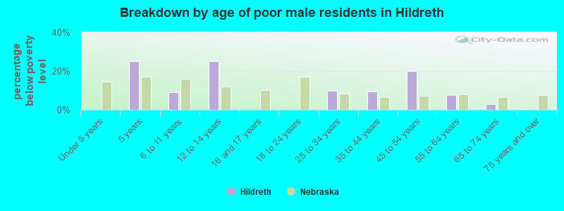 Breakdown by age of poor male residents in Hildreth