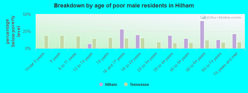 Breakdown by age of poor male residents in Hilham