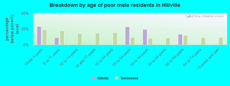 Breakdown by age of poor male residents in Hillville