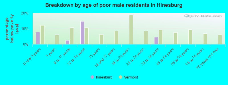 Breakdown by age of poor male residents in Hinesburg