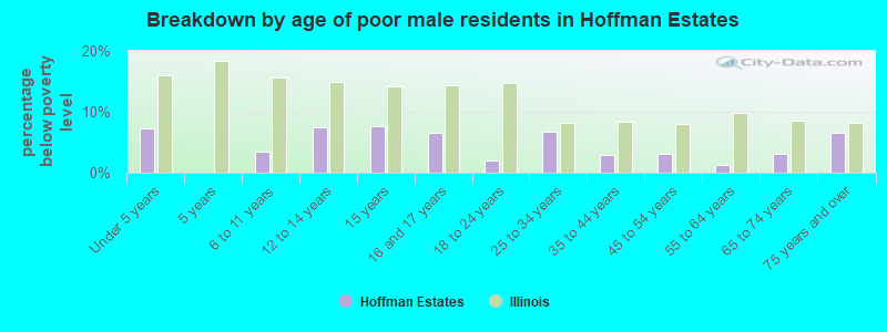 Breakdown by age of poor male residents in Hoffman Estates