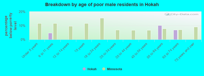Breakdown by age of poor male residents in Hokah