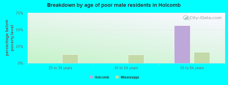 Breakdown by age of poor male residents in Holcomb