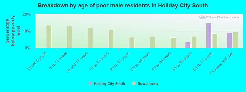 Breakdown by age of poor male residents in Holiday City South