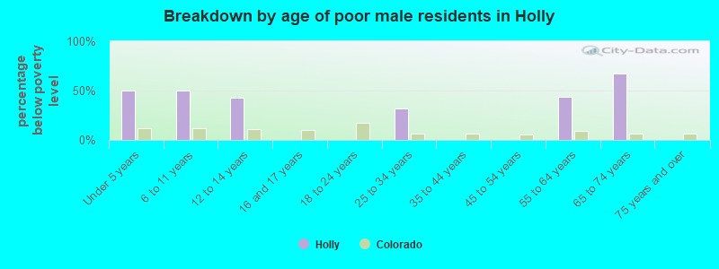 Breakdown by age of poor male residents in Holly
