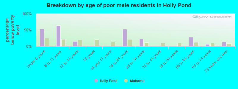 Breakdown by age of poor male residents in Holly Pond