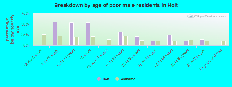 Breakdown by age of poor male residents in Holt
