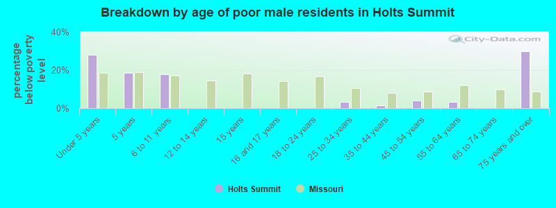 Breakdown by age of poor male residents in Holts Summit