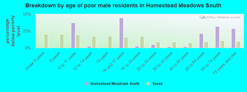 Breakdown by age of poor male residents in Homestead Meadows South