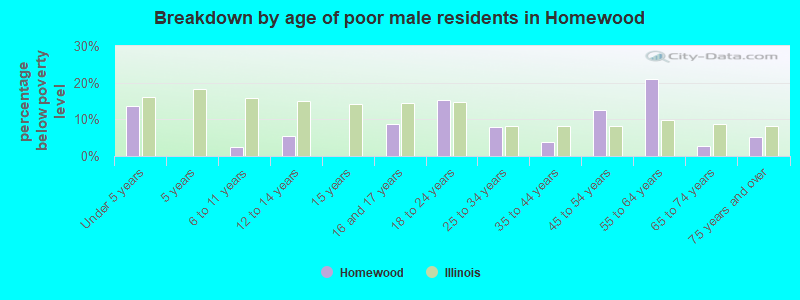 Breakdown by age of poor male residents in Homewood